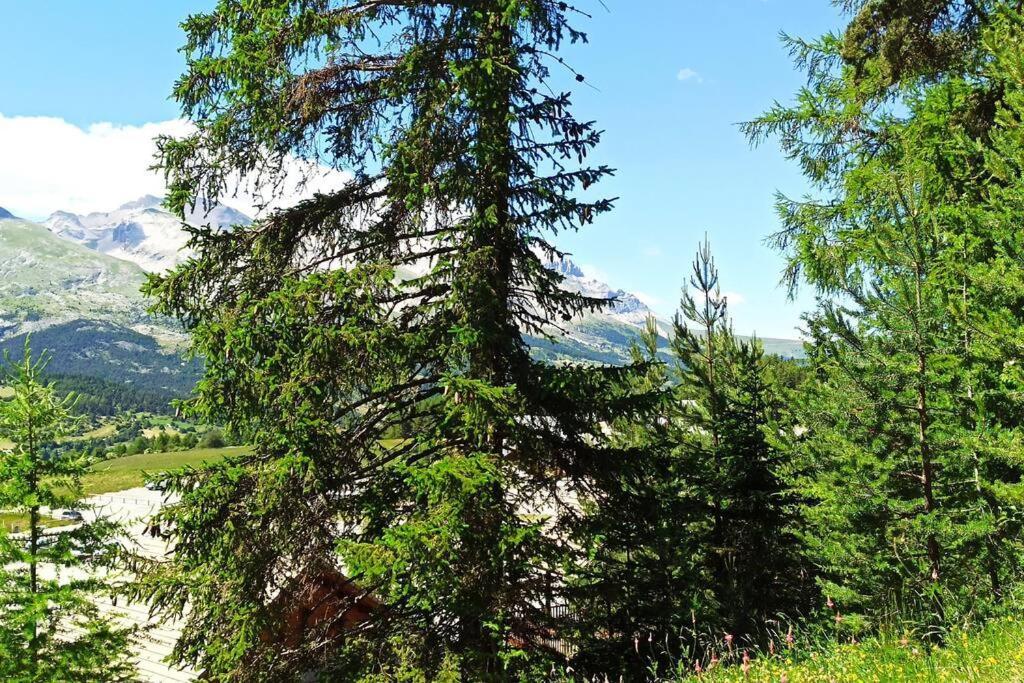 Appartement Duplex Au Pied Des Pistes Saint-Étienne-en-Dévoluy Εξωτερικό φωτογραφία